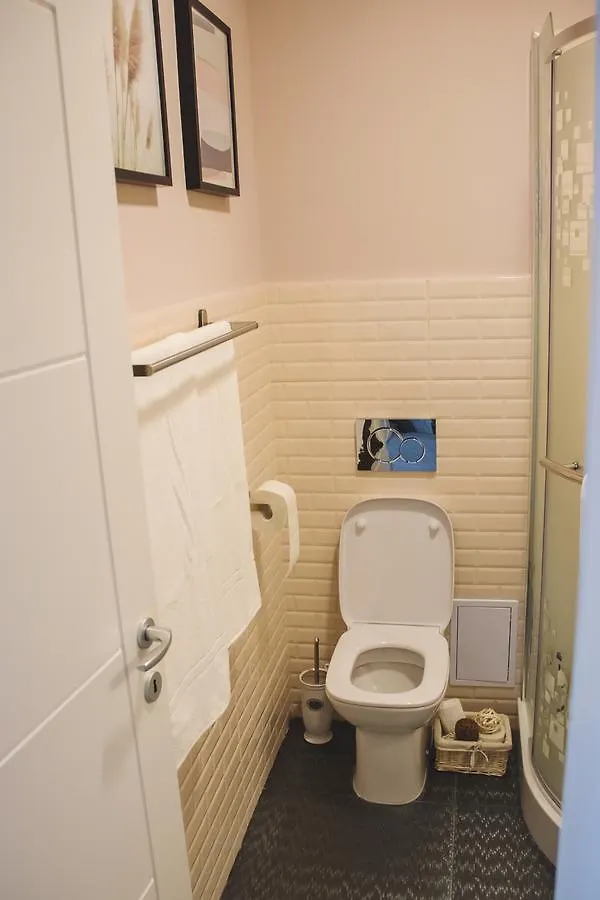 Bucharest Victoria Apartment