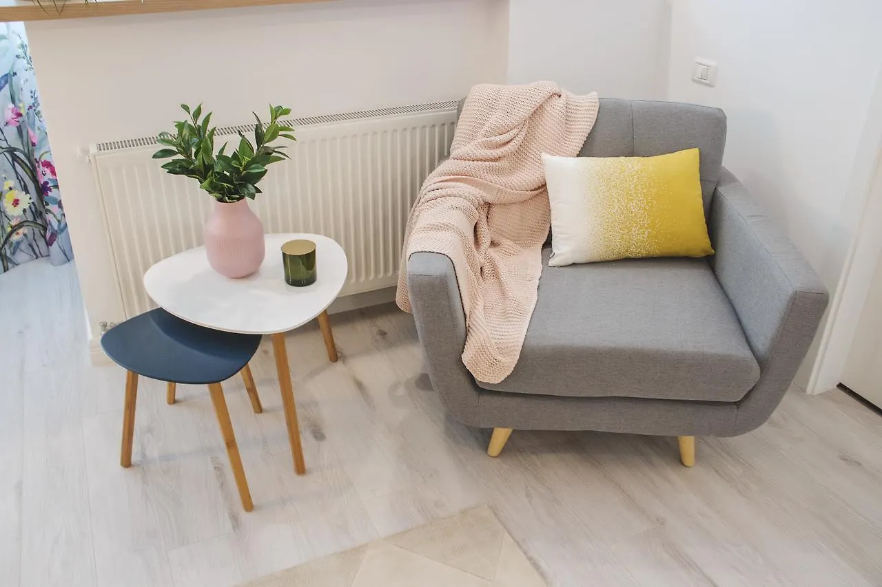 Bucharest Victoria Apartment ルーマニア
