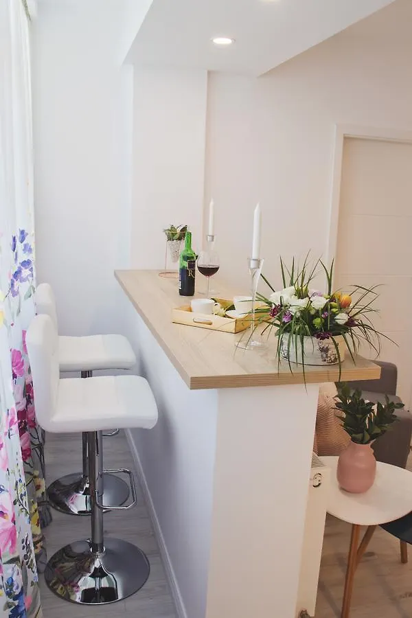 Bucharest Victoria Apartment