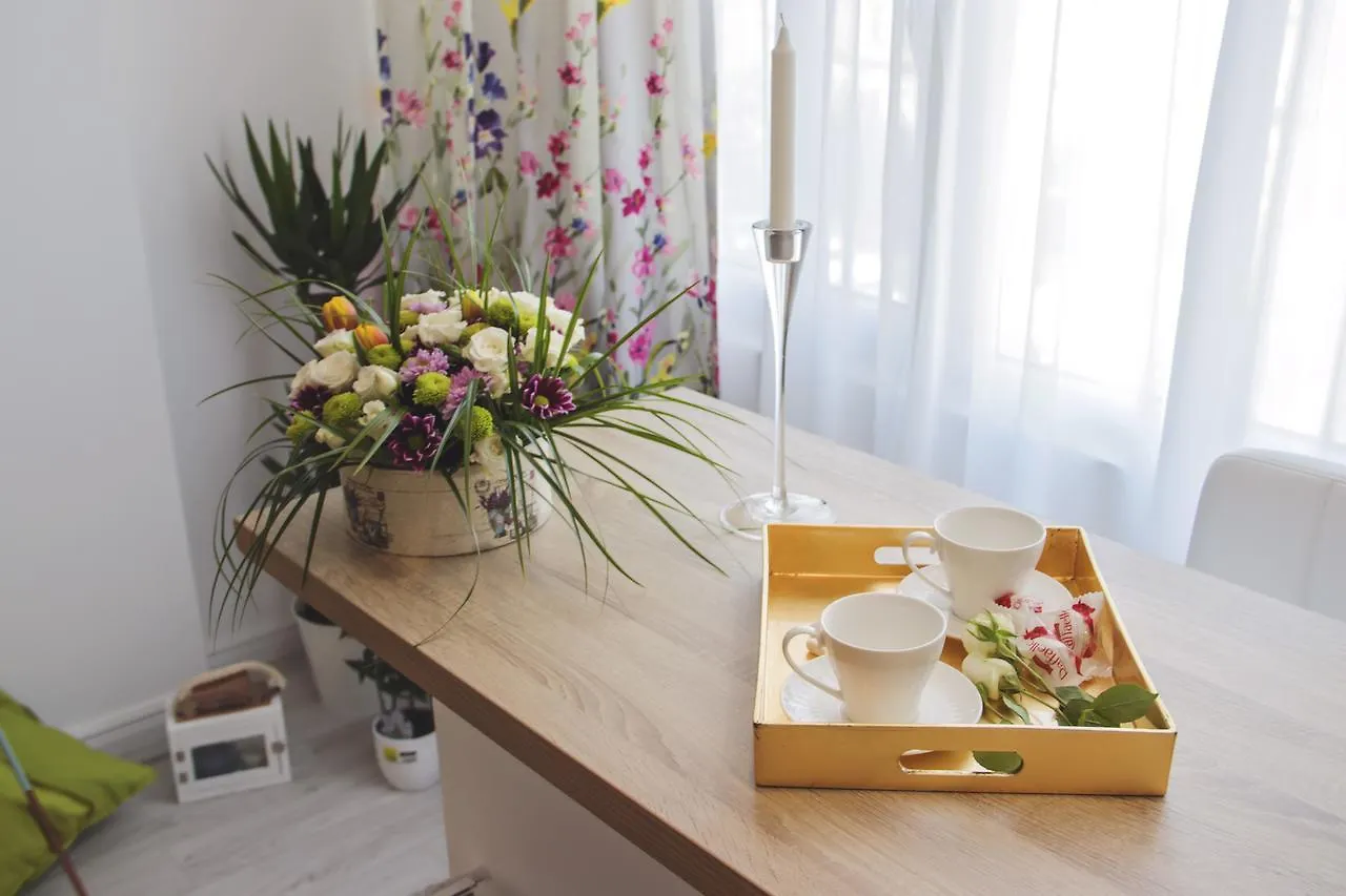 Bucharest Victoria Apartment